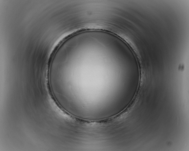 X0000113620992200910091527