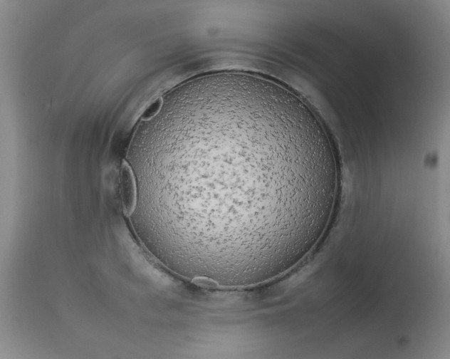 X0000113620993200910091527