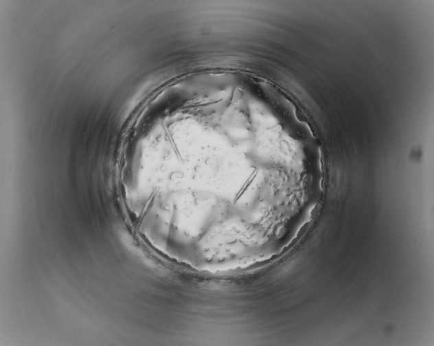 X0000113620994200910091527