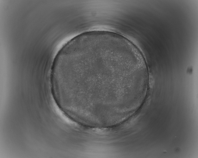 X0000113620995200910091527