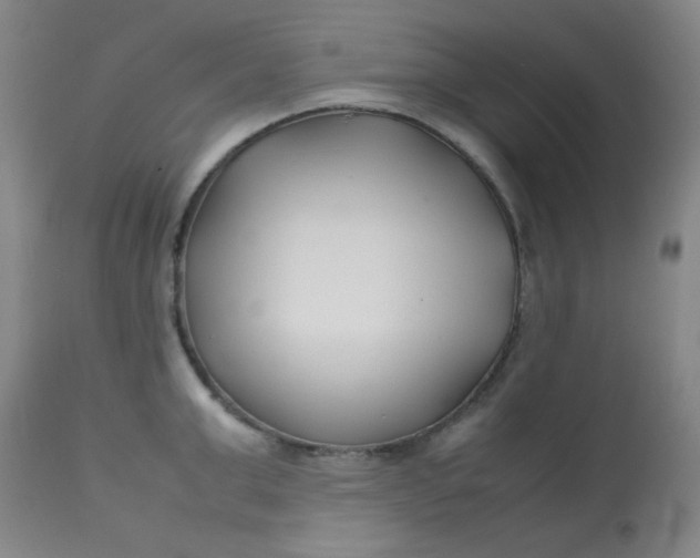 X0000113620999200910091527