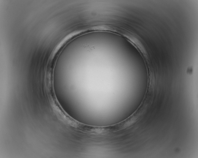 X0000113621000200910091527