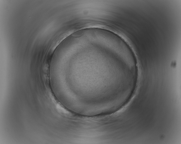 X0000113621001200910091527