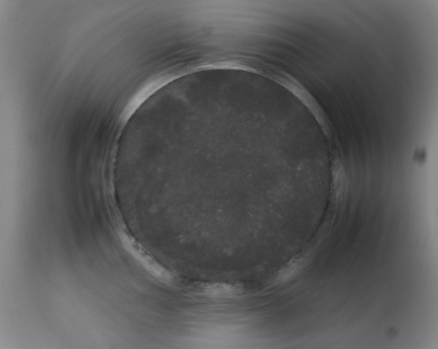 X0000113621002200910091527