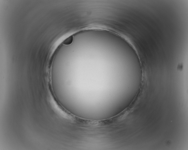 X0000113621003200910091527