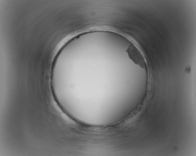 X0000113621005200910091527