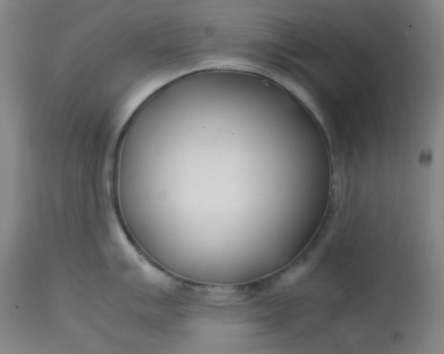 X0000113621007200910091527