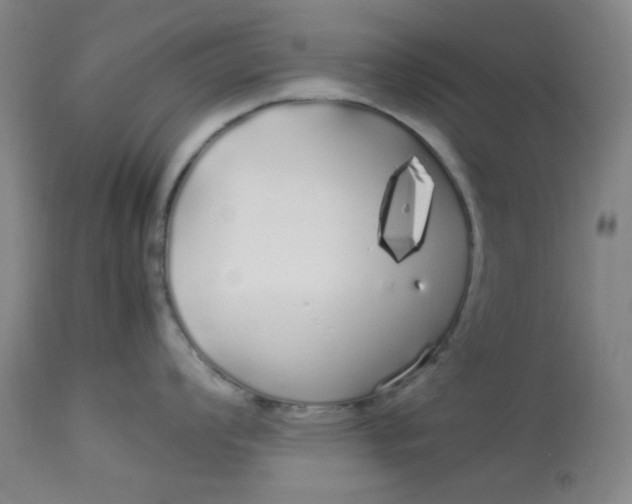 X0000113621008200910091527