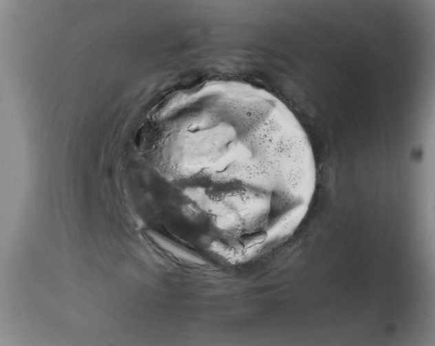 X0000113621009200910091526