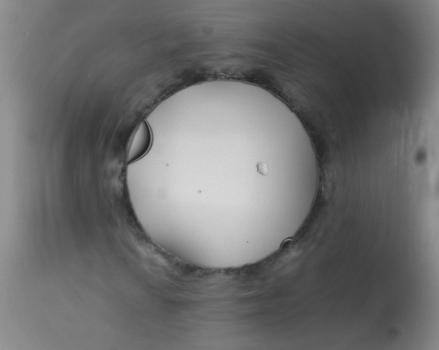 X0000113621010200910091526