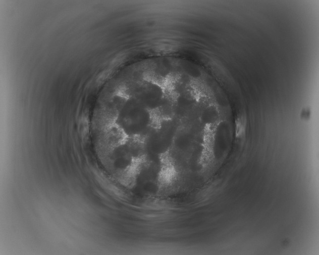 X0000113621011200910091526