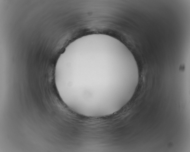 X0000113621012200910091526