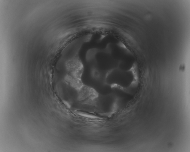 X0000113621013200910091526