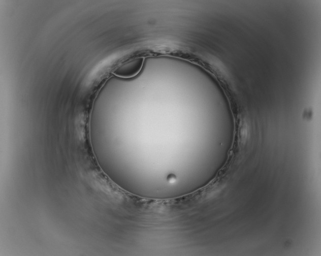 X0000113621016200910091526