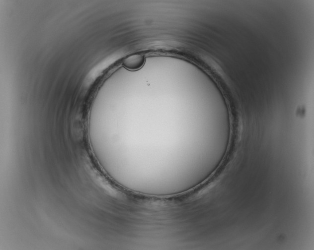 X0000113621018200910091526