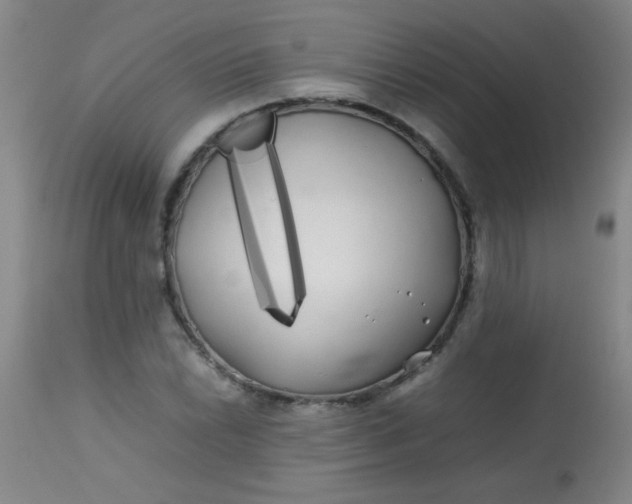 X0000113621022200910091526