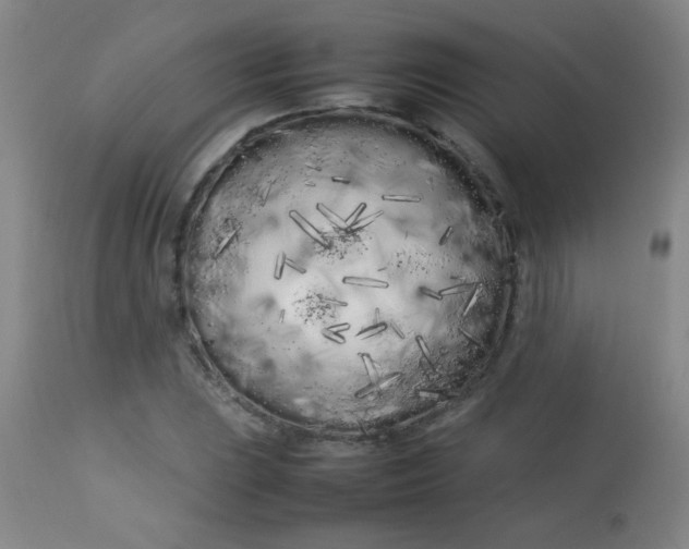 X0000113621023200910091526