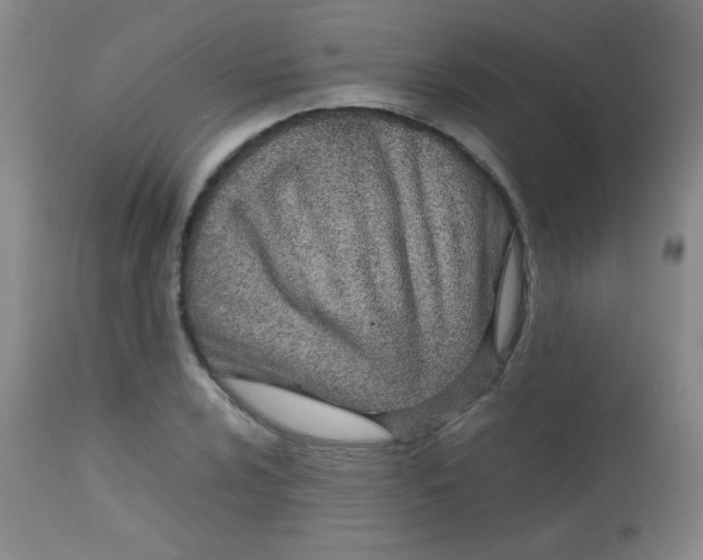 X0000113621024200910091526