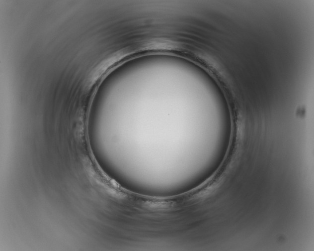 X0000113621025200910091526