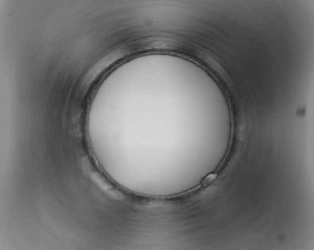 X0000113621026200910091526