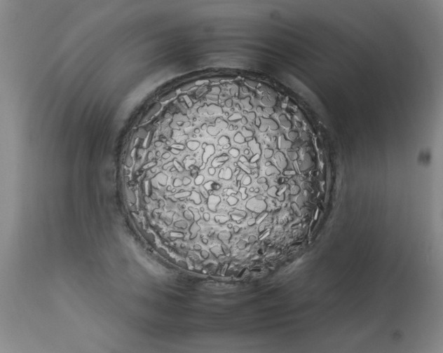 X0000113621027200910091526