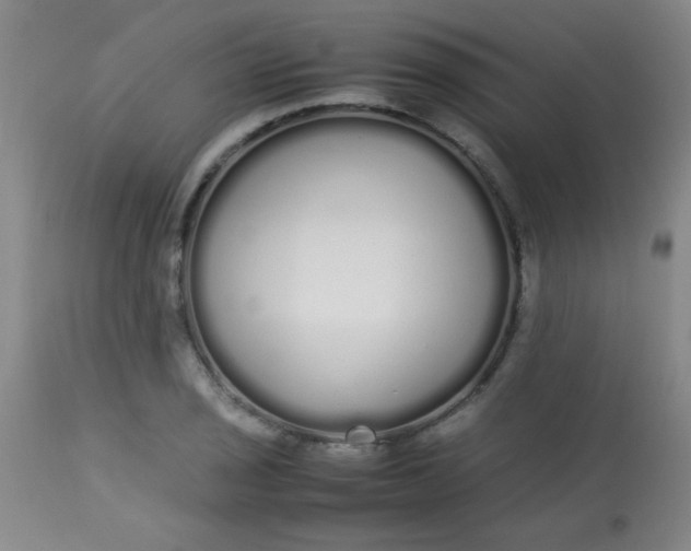 X0000113621029200910091526