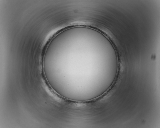 X0000113621030200910091526