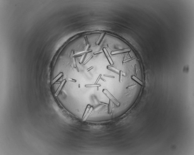 X0000113621031200910091526