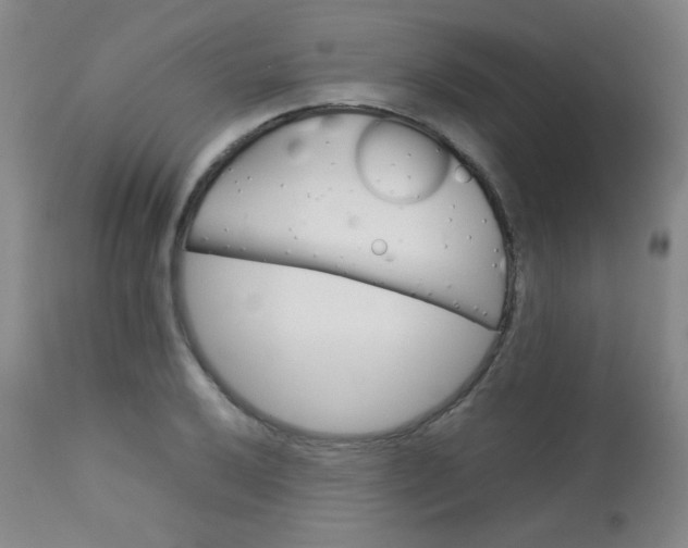 X0000113621032200910091526