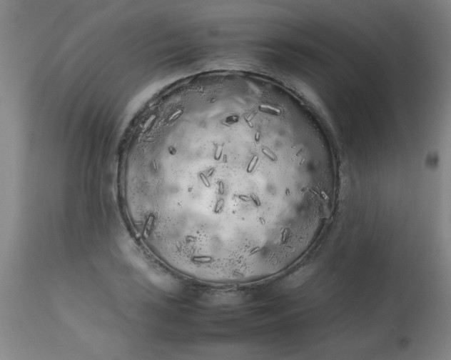 X0000113621035200910091527