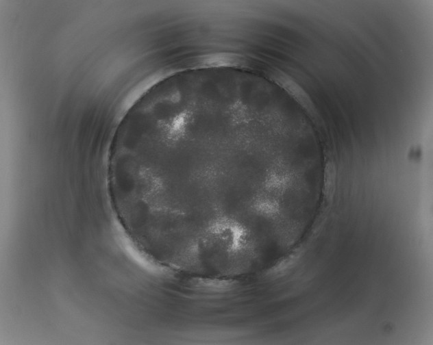 X0000113621039200910091527