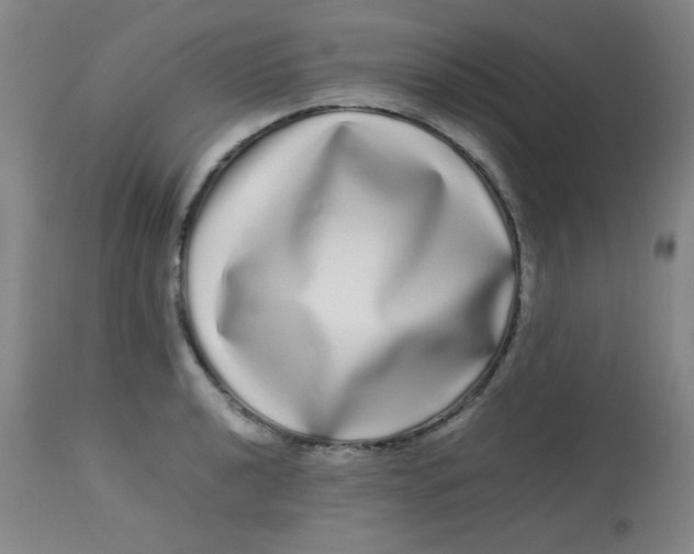 X0000113621040200910091527