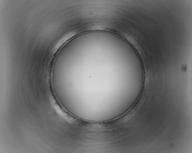 X0000113621042200910091527