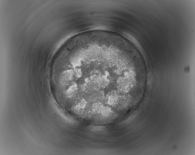 X0000113621043200910091527