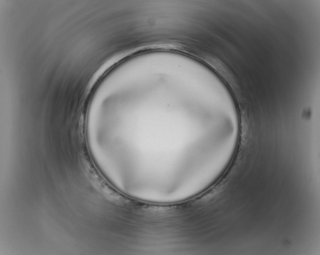 X0000113621044200910091527