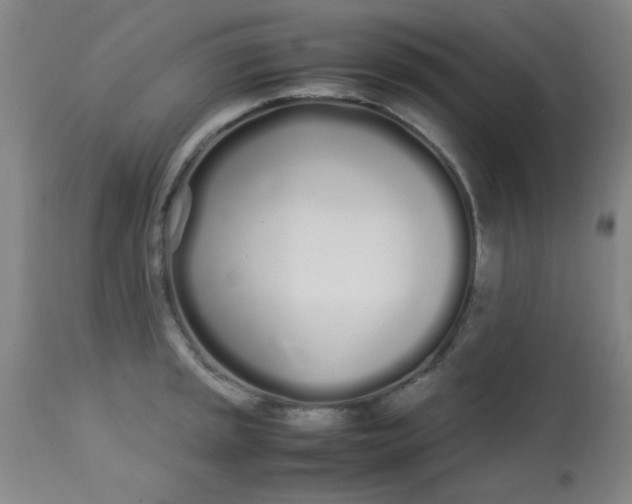 X0000113621045200910091527