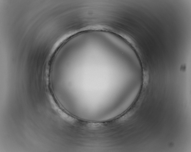 X0000113621046200910091527