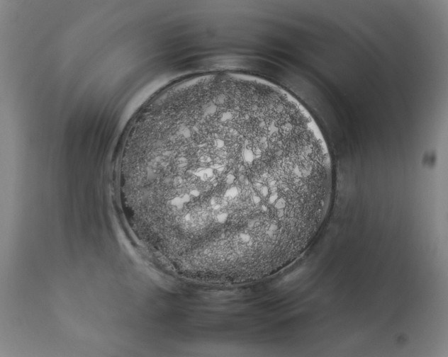 X0000113621047200910091527