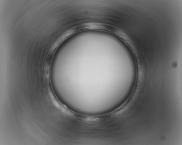 X0000113621049200910091527