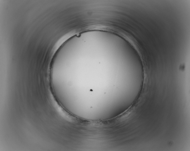 X0000113621050200910091527