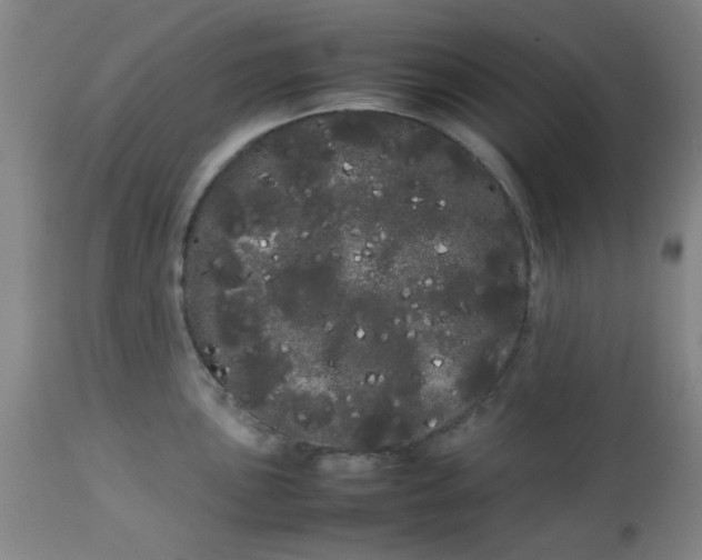 X0000113621051200910091527