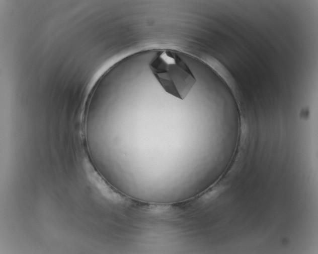 X0000113621052200910091527