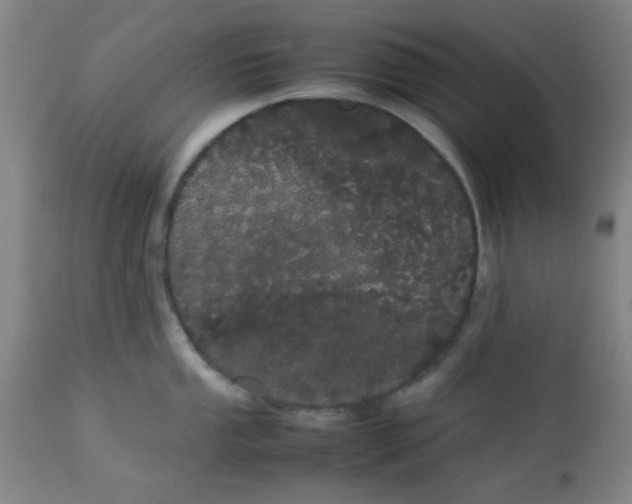 X0000113621053200910091527