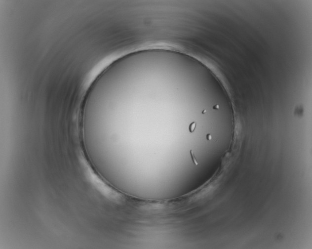 X0000113621054200910091527