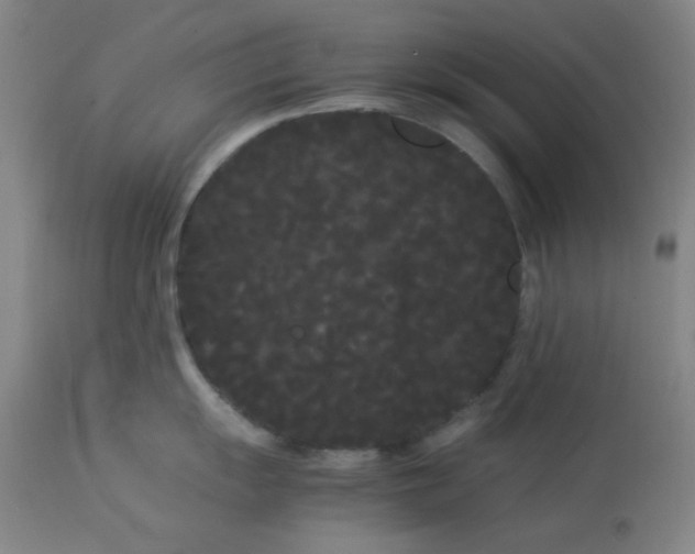 X0000113621055200910091527