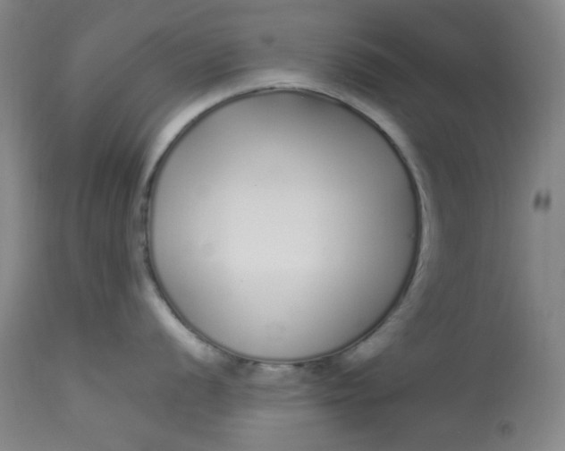 X0000113621056200910091527