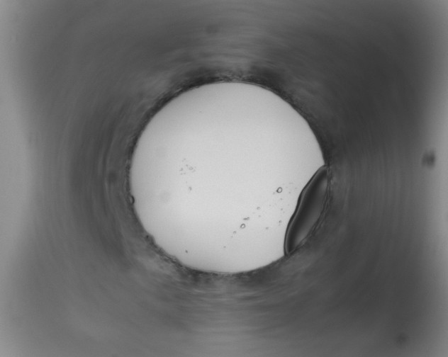 X0000113621057200910091526