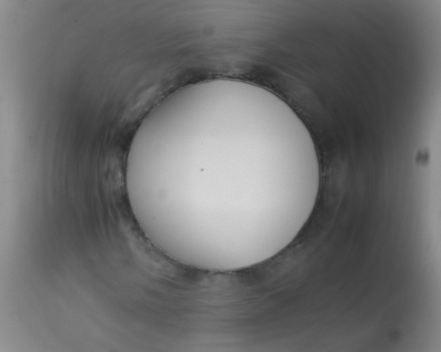 X0000113621058200910091526