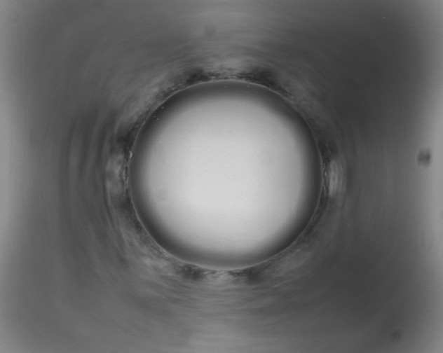 X0000113621059200910091526