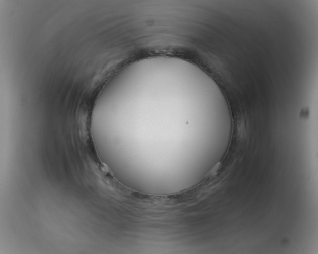 X0000113621060200910091526